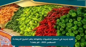 قفزة جديدة في أسعار الخضروات والفواكه بكفر الشيخ الأربعاء 6 أغسطس 2025.. كم بلغت؟